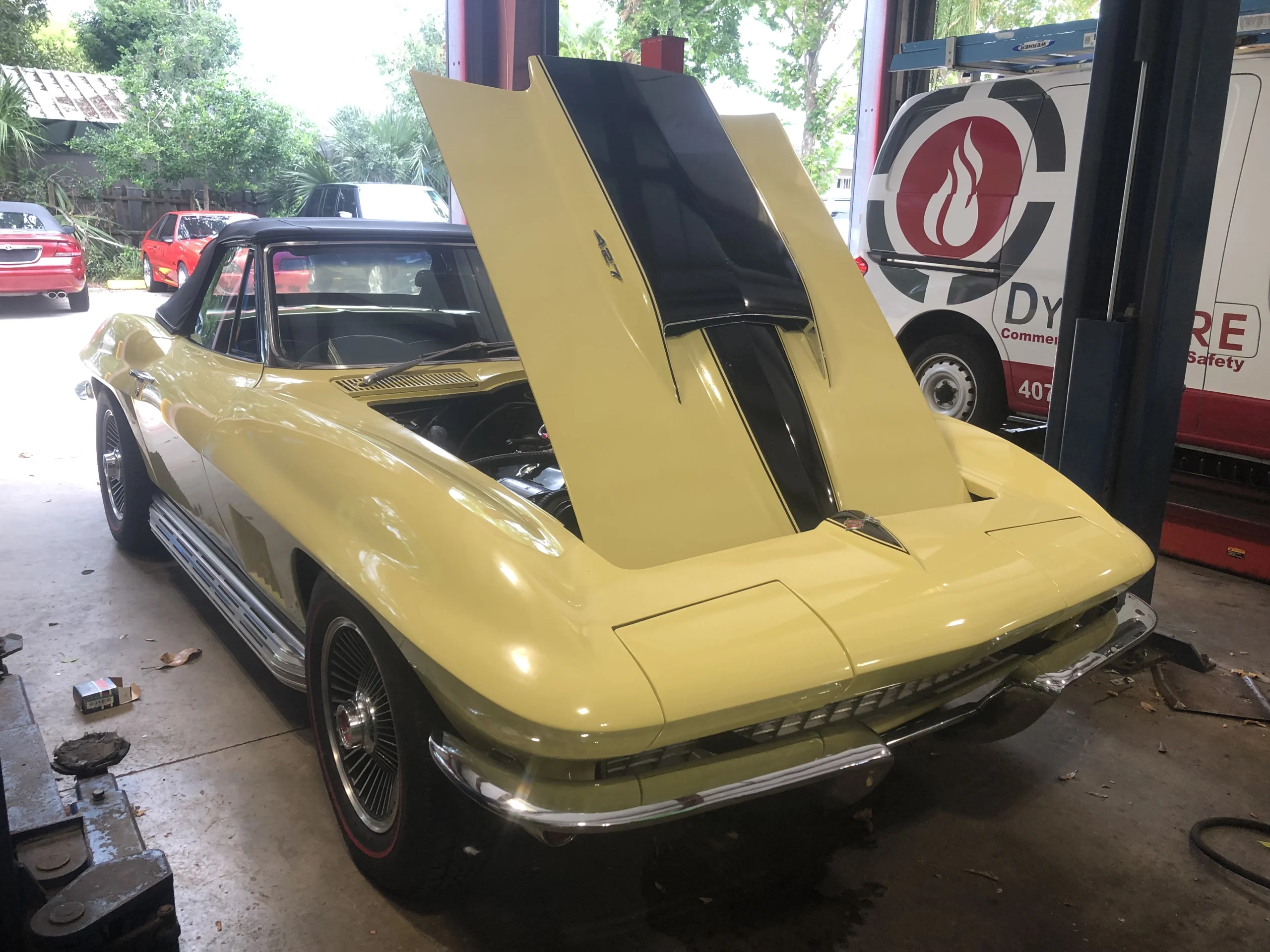 Yellow with black stinger hood 1967 Corvette